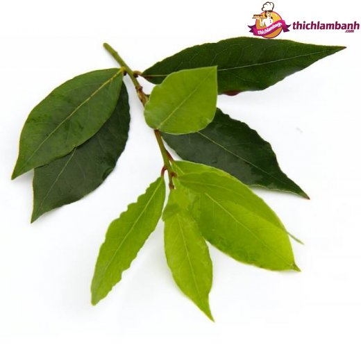 Lá nguyệt quế Bay leaf 10 gr