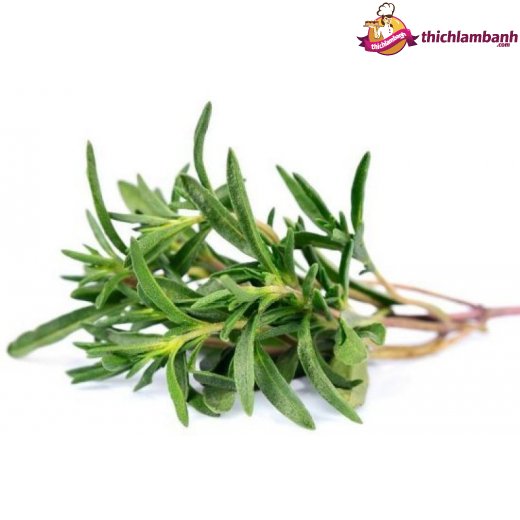 Cỏ xạ hương Thyme gói 5 gr