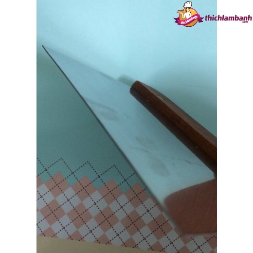 Cây sủi ống socola