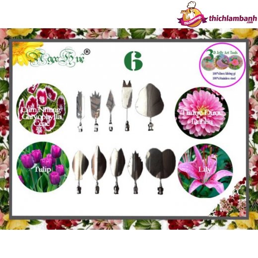 Dụng cụ kim làm rau câu 3D 10 kim Ngọc Huệ