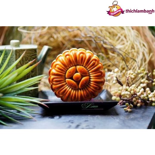 Khuôn lò xo 125gr tròn 4 mặt hoa 2019