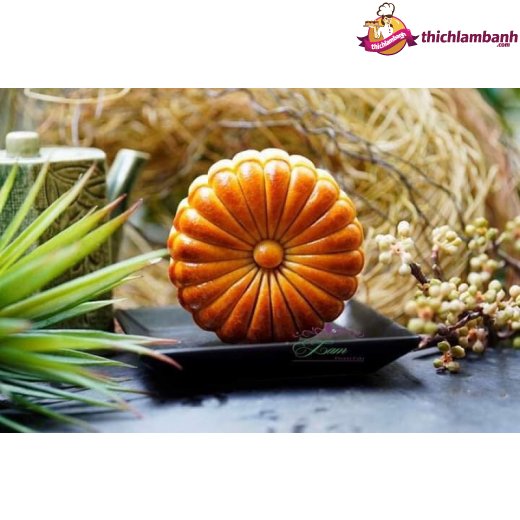 Khuôn lò xo 125gr tròn 4 mặt hoa 2019