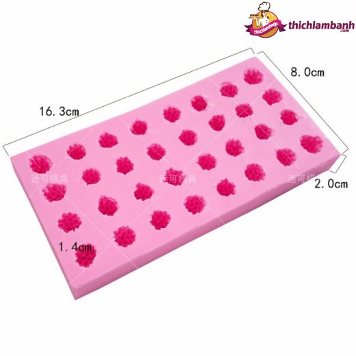 Khuôn silicon 4D 32 quả phúc bồn tử MK-2000