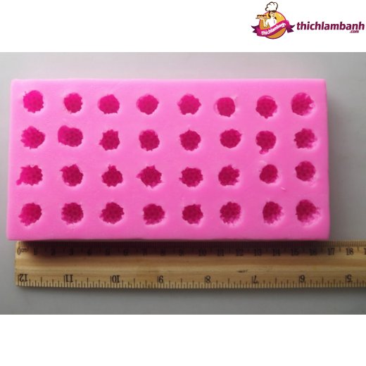 Khuôn silicon 4D 32 quả phúc bồn tử MK-2000