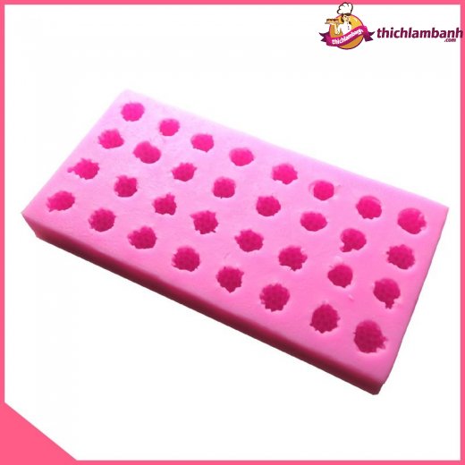 Khuôn silicon 4D 32 quả phúc bồn tử MK-2000