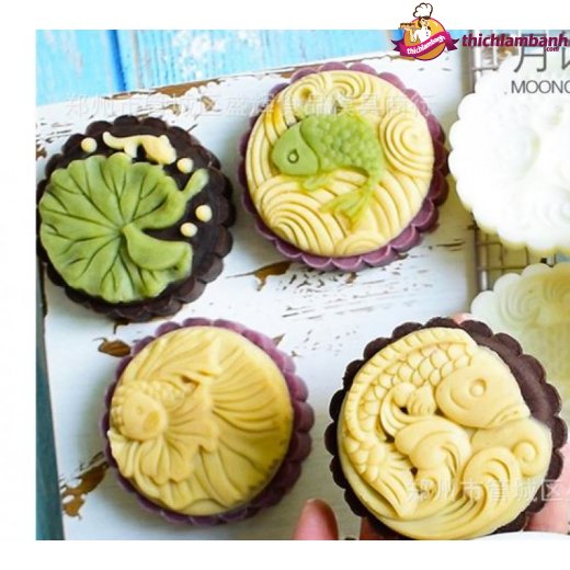 Khuôn lò xo 50g 4 mặt cá Koi