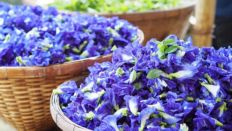 Hoa Đậu Biếc Sấy Khô 20 gr