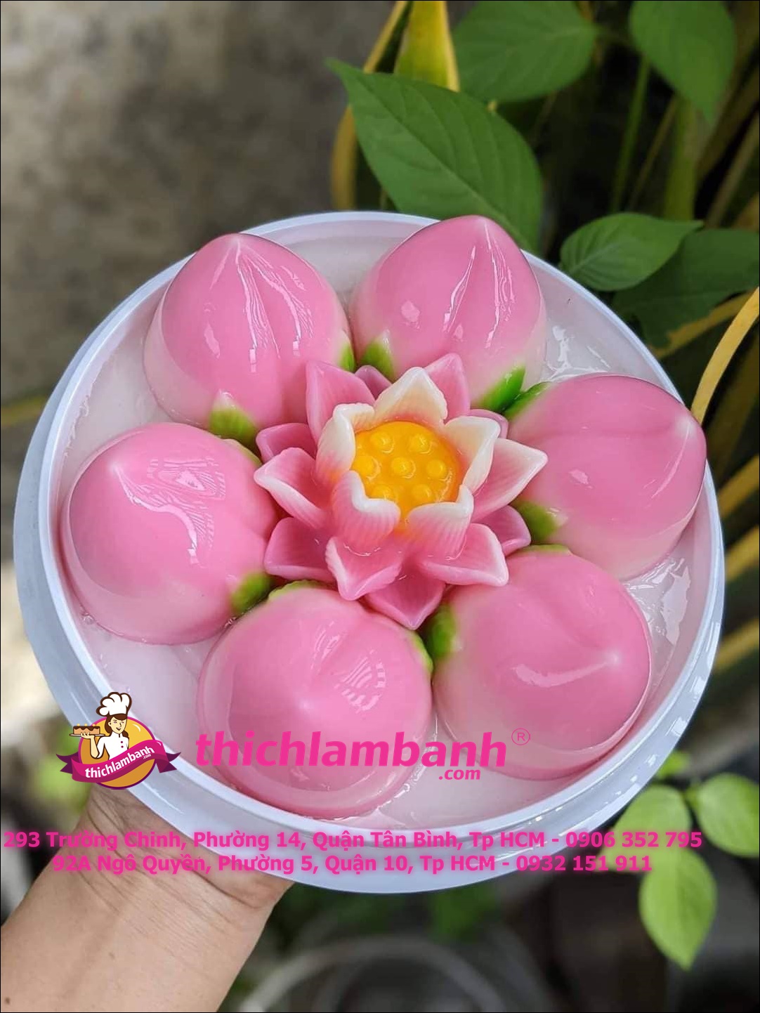 Khuôn nhựa trắng rau câu 9 trái đào