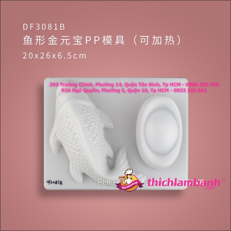 Khuôn nhựa trắng rau câu đôi cá chép thỏi vàng