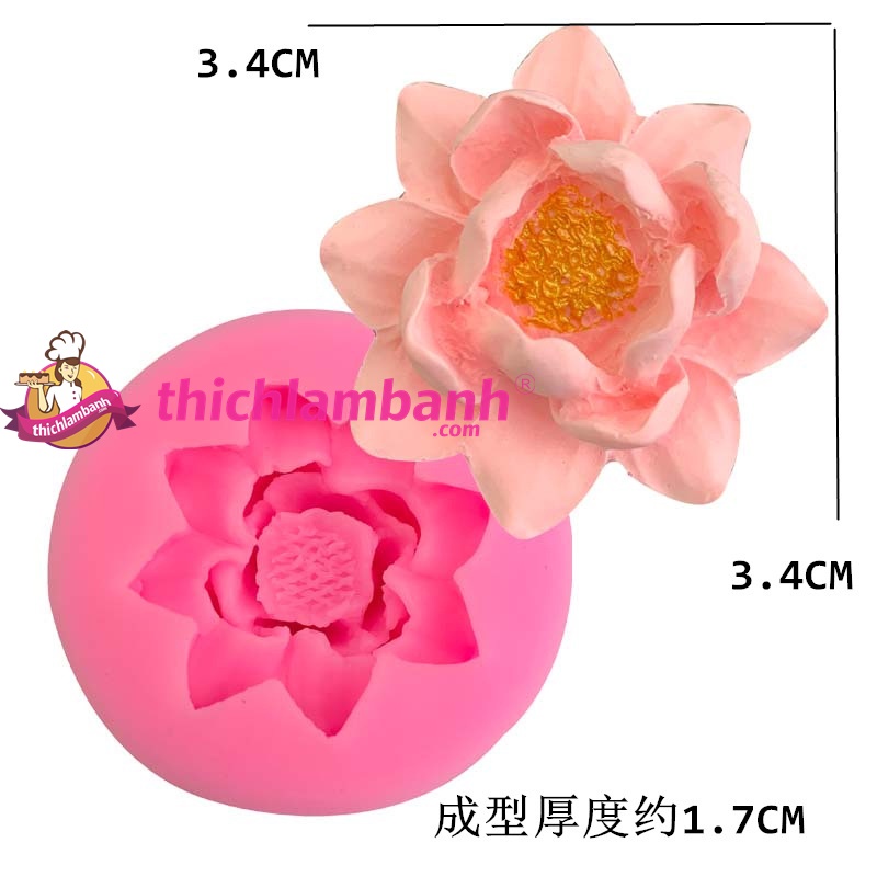 4D Silicon Hoa sen nở 3.4 H6268