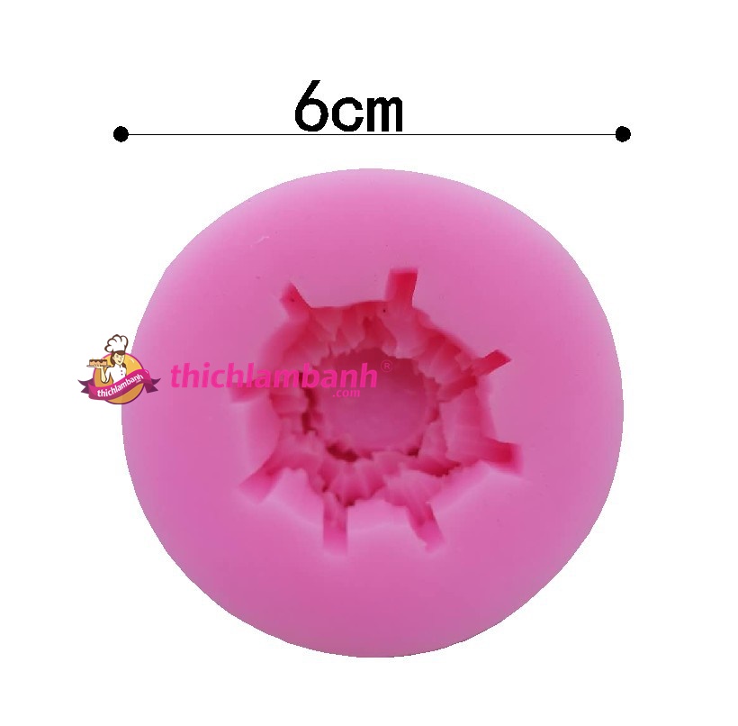 4D Silicon sen nở 5