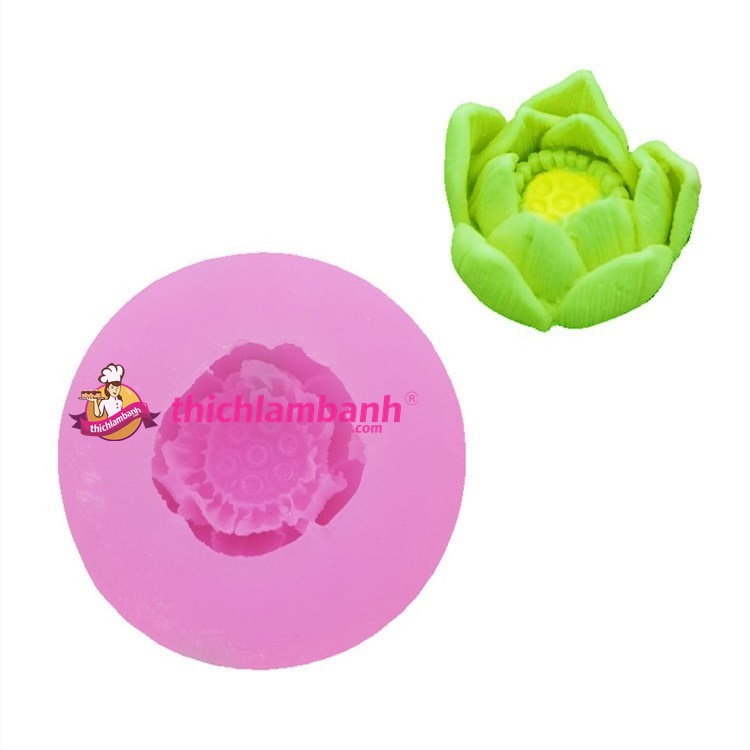 4D Silicon sen thái 5.4