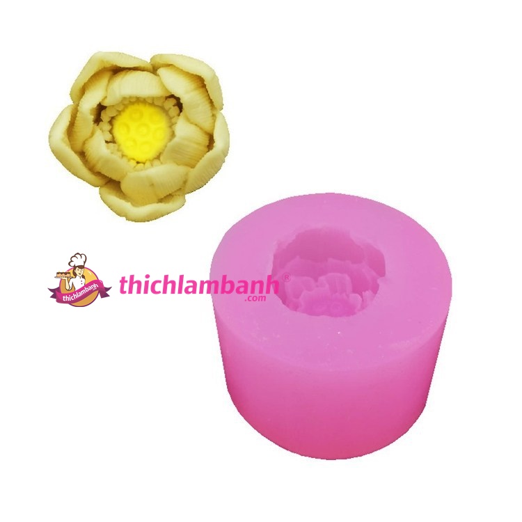 4D Silicon sen thái 5.4