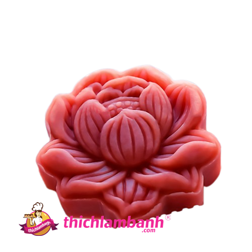 Khuôn lò xo 150G Sen Up 1 mặt