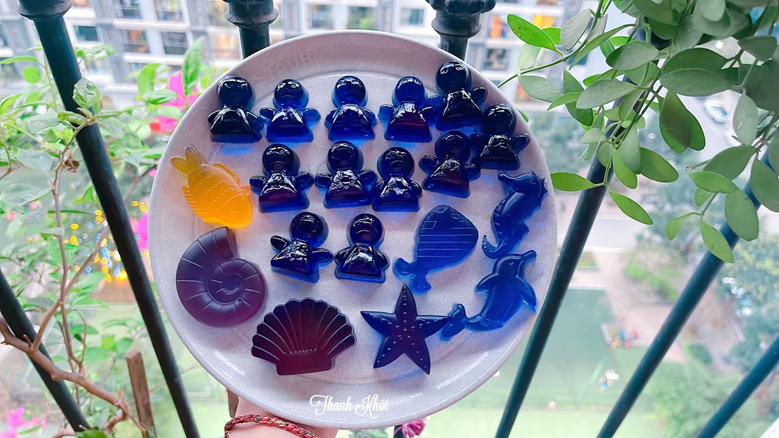 Ảnh 2